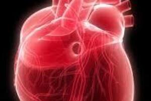 Легочное сердце: причини виникнення та основні симптоми, способи лікування захворювання