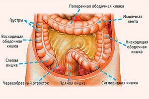 Рак ободочной кишки: причини виникнення та основні симптоми, способи лікування захворювання