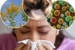 Острые аллергические реакции: причини виникнення та основні симптоми, способи лікування захворювання
