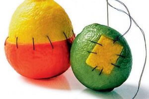 Реакция отторжения трансплантата: причины возникновения и основные симптомы, способы лечения заболевания