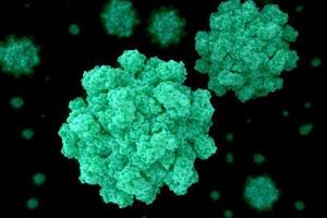 Норовирусная инфекция: причины возникновения и основные симптомы, способы лечения заболевания