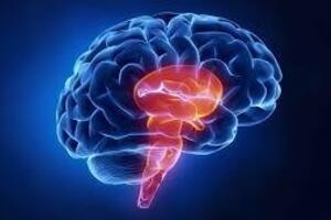 Опухоли ствола мозга: причины возникновения и основные симптомы, способы лечения заболевания