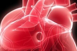 Доклад: Сердечная астма (СА) и отек легких (ОЛ)