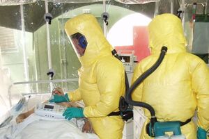 Геморрагическая лихорадка Эбола: причины возникновения и основные симптомы, способы лечения заболевания
