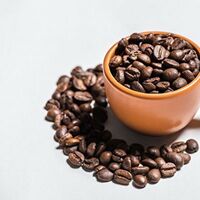 Наталья Бородина