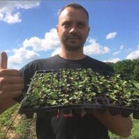 Александр Иванов