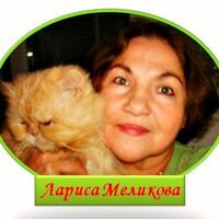 Лариса Мелікова