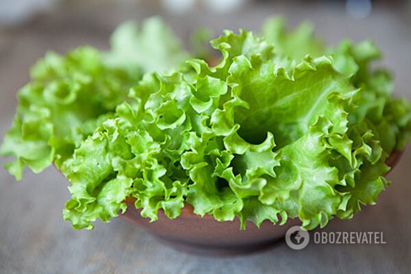 Листя салату