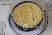 Шаровий салат із куркою та грибами - Крок 6 Шаровий салат із куркою та грибами - Крок 6