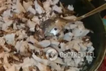 Жульен с курицей - Шаг 6 Жульен с курицей - Шаг 6