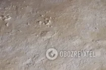 Булочки на молоке - Шаг 9 Булочки на молоке - Шаг 9