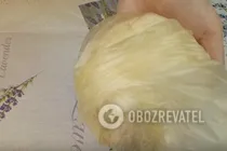 Печенье из творога - Шаг 3 Печенье из творога - Шаг 3