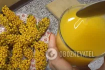Обліпиховий кисіль - Крок 7 Обліпиховий кисіль - Крок 7
