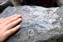 Сніданок в лісі - Крок 1 Сніданок в лісі - Крок 1