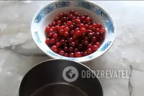 Кисель из клюквы с сахаром - Шаг 1 Кисель из клюквы с сахаром - Шаг 1