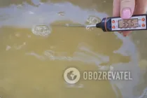 Белый квас - Шаг 4 Белый квас - Шаг 4