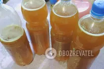Квас на дріжджах із цикорієм - Крок 6 Квас на дріжджах із цикорієм - Крок 6