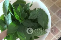Освіжаюче мохіто - Крок 1 Освіжаюче мохіто - Крок 1