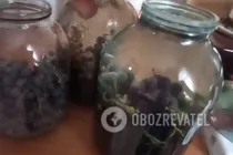 Компот из синего винограда - Шаг 5 Компот из синего винограда - Шаг 5