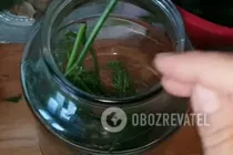 Малосольные огурцы с чесноком - Шаг 2 Малосольные огурцы с чесноком - Шаг 2