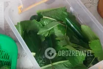 Малосольні огірки з вишневим листям - Крок 4 Малосольні огірки з вишневим листям - Крок 4
