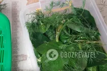 Малосольні огірки з вишневим листям - Крок 7 Малосольні огірки з вишневим листям - Крок 7
