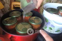 Салат із помідорів з паприкою - Крок 10 Салат із помідорів з паприкою - Крок 10