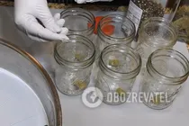 Салат "Донський" - Крок 5 Салат "Донський" - Крок 5