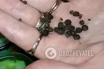 Салат з овочевого асорті - Крок 5 Салат з овочевого асорті - Крок 5
