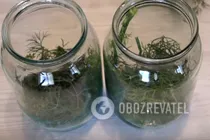 Малосольные огурцы с гвоздикой - Шаг 2 Малосольные огурцы с гвоздикой - Шаг 2