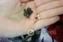 Малосольні огірки нашвидкоруч - Крок 3 Малосольні огірки нашвидкоруч - Крок 3