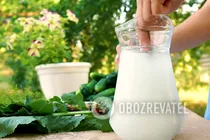 Малосольные огурцы за 3 дня - Шаг 1 Малосольные огурцы за 3 дня - Шаг 1