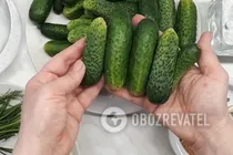 Малосольные огурцы на минералке - Шаг 1 Малосольные огурцы на минералке - Шаг 1