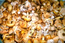 Овочевий салат з опеньками - Крок 1 Овочевий салат з опеньками - Крок 1