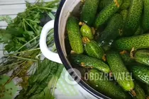 Мариновані корнішони - Крок 1 Мариновані корнішони - Крок 1