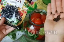 Мариновані помідори з болгарським перцем - Крок 9 Мариновані помідори з болгарським перцем - Крок 9