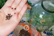 Квашеные помидоры с хреном - Шаг 1 Квашеные помидоры с хреном - Шаг 1