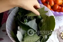 Квашені помідори з листям малини - Крок 2 Квашені помідори з листям малини - Крок 2