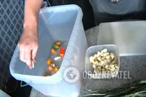 Квашені помідори класичні - Крок 2 Квашені помідори класичні - Крок 2