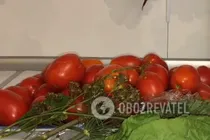 Квашені помідори з часником - Крок 1 Квашені помідори з часником - Крок 1