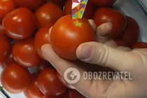 Квашеные помидоры с укропом - Шаг 1 Квашеные помидоры с укропом - Шаг 1