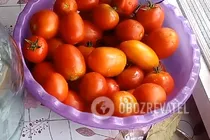 Квашені помідори з листям малини - Крок 1 Квашені помідори з листям малини - Крок 1