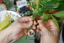 Мариновані помідори з болгарським перцем - Крок 8 Мариновані помідори з болгарським перцем - Крок 8
