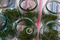 Мариновані огірки з коріандром - Крок 3 Мариновані огірки з коріандром - Крок 3