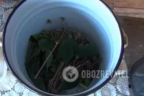 Квашені помідори без часнику - Крок 2 Квашені помідори без часнику - Крок 2