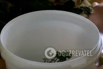 Зеленые квашеные помидоры - Шаг 2 Зеленые квашеные помидоры - Шаг 2