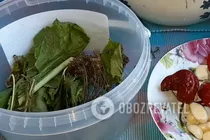 Квашені помідори з тархуном - Крок 1 Квашені помідори з тархуном - Крок 1