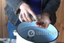 Квашені помідори без часнику - Крок 3 Квашені помідори без часнику - Крок 3