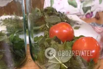 Квашені помідори з листям кукурудзи - Крок 4 Квашені помідори з листям кукурудзи - Крок 4