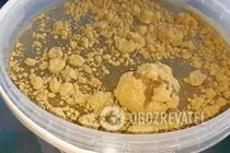 Квашеные помидоры с луком и горчицей - Шаг 4 Квашеные помидоры с луком и горчицей - Шаг 4